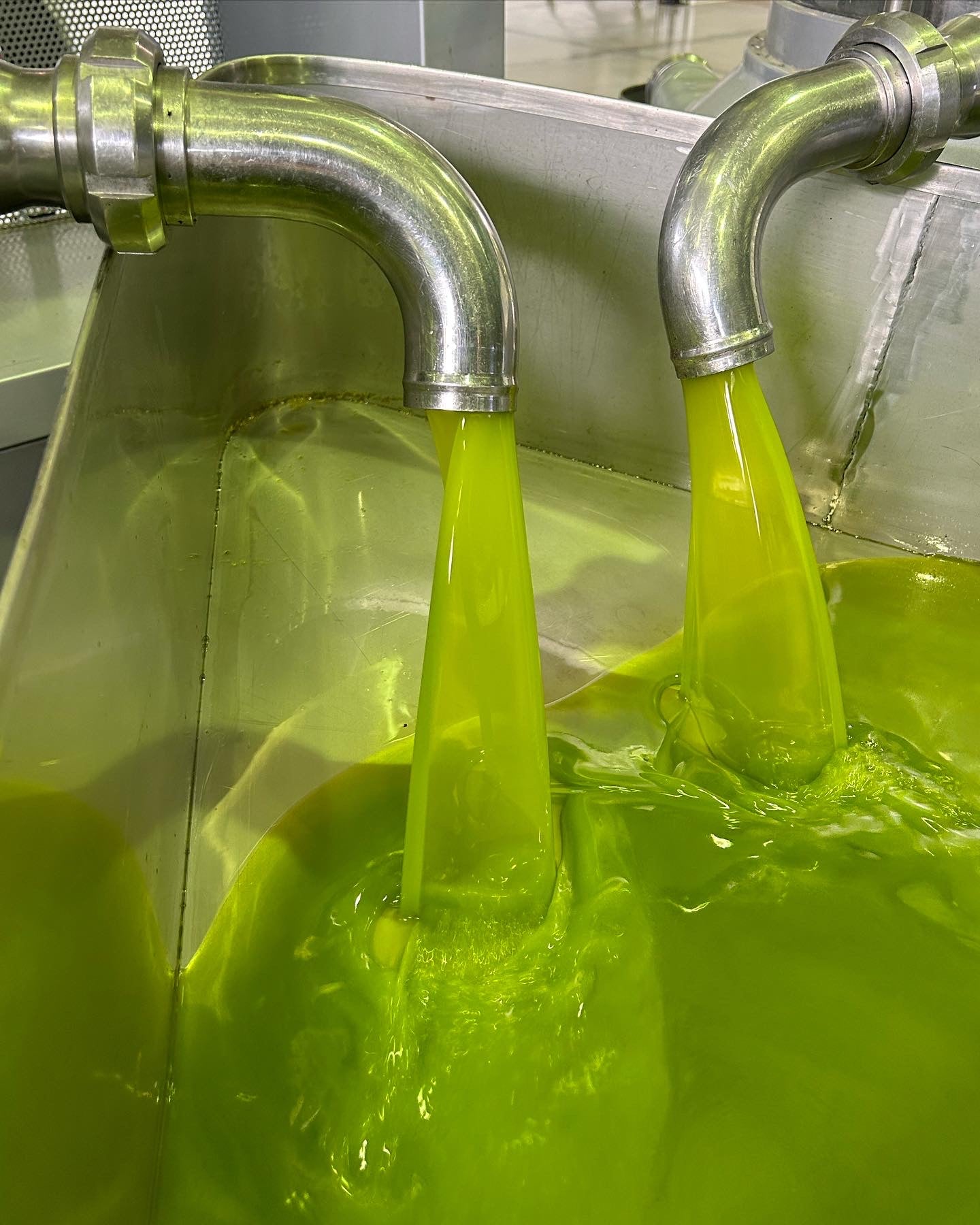 ELSA - Pure & Organic Sicilian Olive Oil